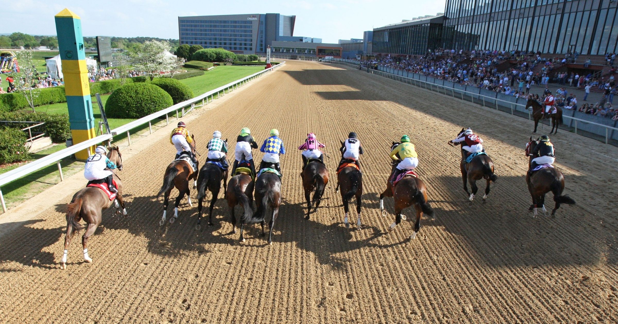 Plan a Group Escape Where Luxury Meets Fun in Hot Springs